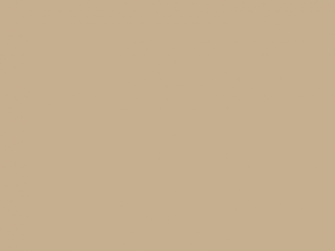 Paint & Paper Library Pure Flat Emulsion - Leather V 235