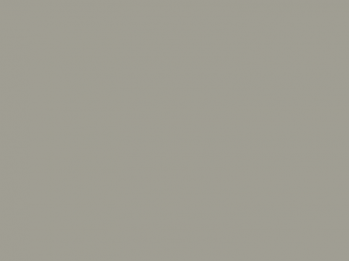 Paint & Paper Library Pure Flat Emulsion - Barbican 249