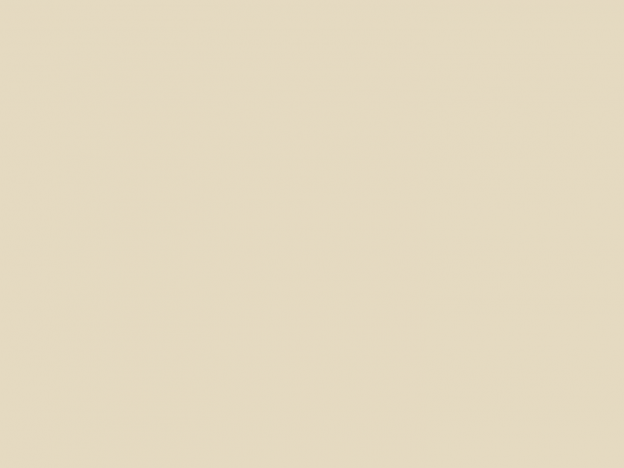 Paint & Paper Library Pure Flat Emulsion - Sand IV 264