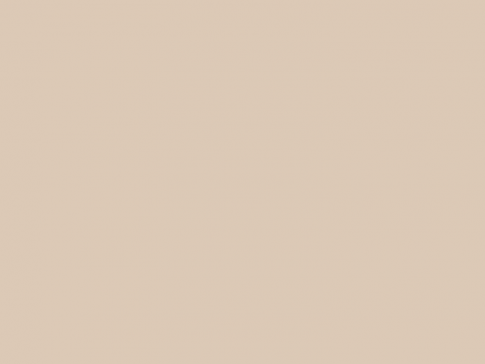 Paint & Paper Library Architects' Matt - Powder IV 294