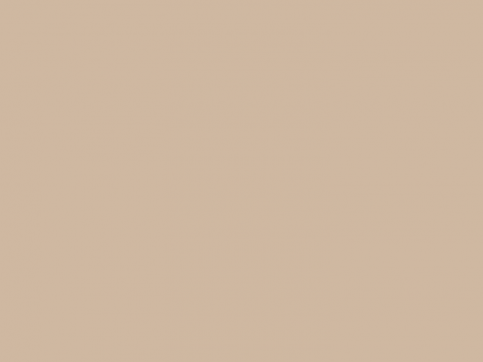 Paint & Paper Library Pure Flat Emulsion - Powder V 295