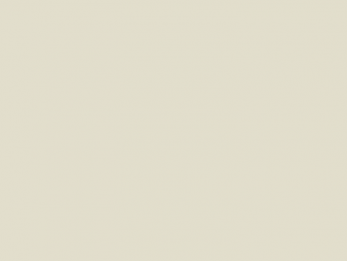 Paint & Paper Library Pure Flat Emulsion - Canvas II 302