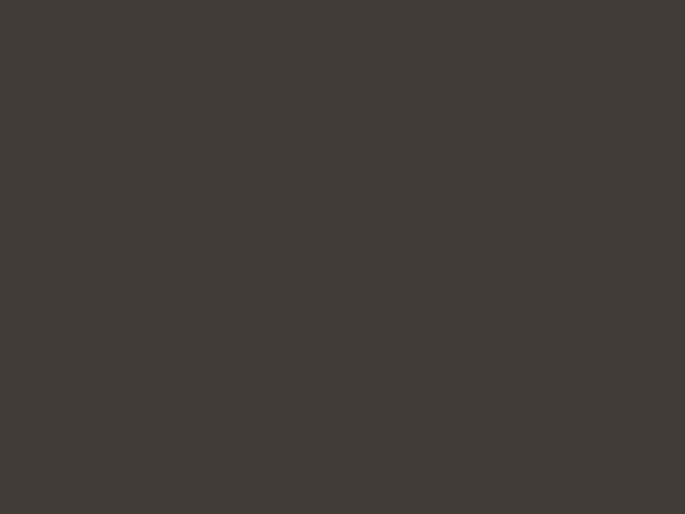 Paint & Paper Library Pure Flat Emulsion - Copper Beech 314