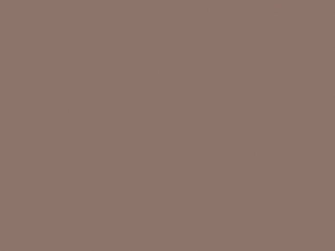 Paint & Paper Library Pure Flat Emulsion - Mchanga 337