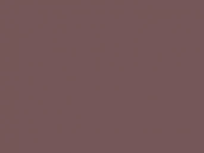 Paint & Paper Library Pure Flat Emulsion - Soumak 339