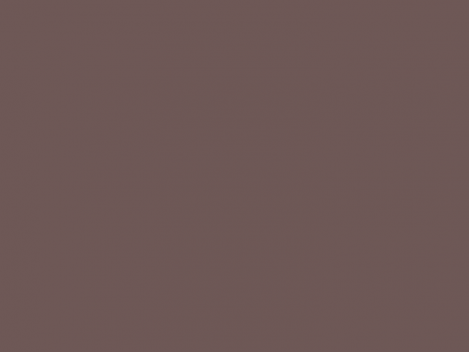 Paint & Paper Library Pure Flat Emulsion - Plum Brandy 341