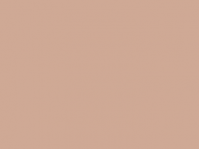 Paint & Paper Library Pure Flat Emulsion - Roben's Honour 344