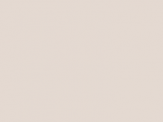 Paint & Paper Library Pure Flat Emulsion - Plaster III 403