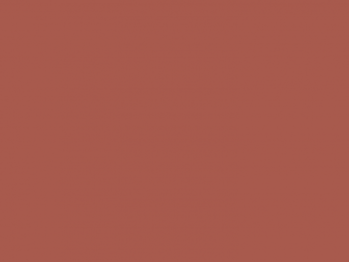 Paint & Paper Library Pure Flat Emulsion - Beetlenut 413