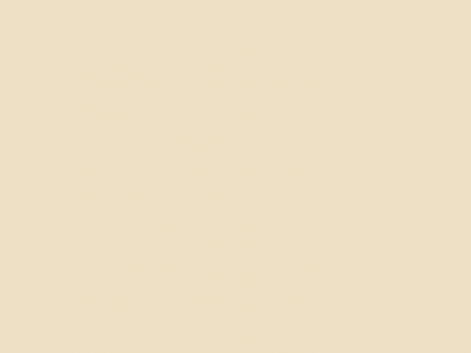 Paint & Paper Library Pure Flat Emulsion - Paper III 433