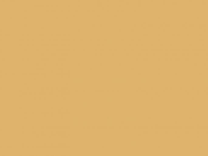 Paint & Paper Library Pure Flat Emulsion - Morning Room 447