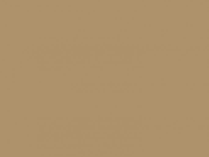 Paint & Paper Library Architects' Satinwood - Caddie 452