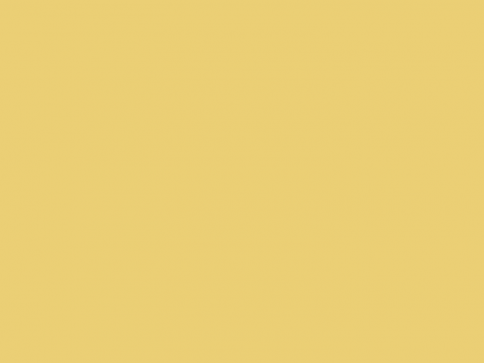 Paint & Paper Library Architects' Matt - Brimstone 476
