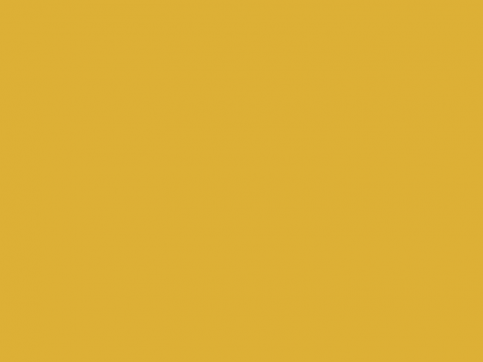 Paint & Paper Library Pure Flat Emulsion - Gamboge 484
