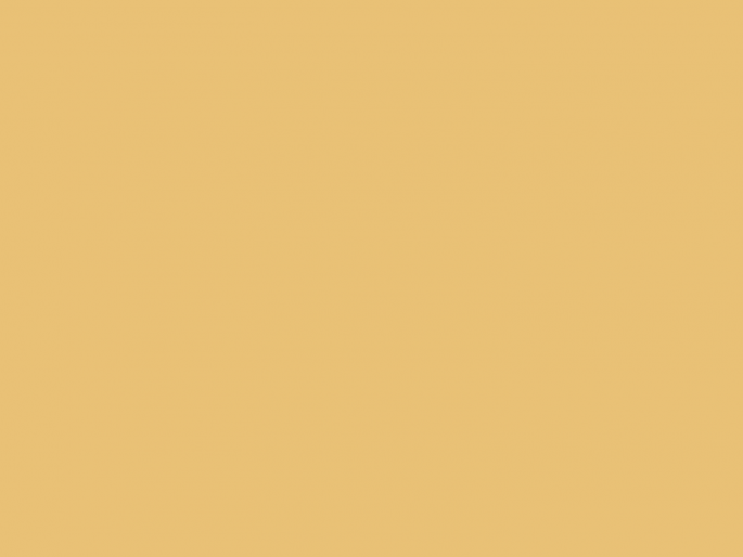 Paint & Paper Library Pure Flat Emulsion - Parasol 508