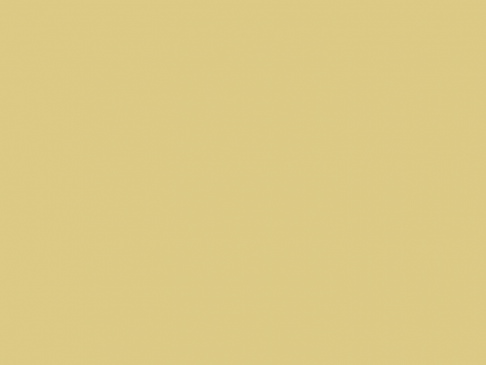 Paint & Paper Library Architects' Matt - Scallion 519