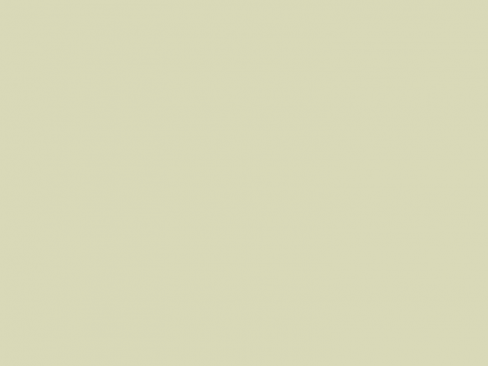 Paint & Paper Library Pure Flat Emulsion - Willow IV 534