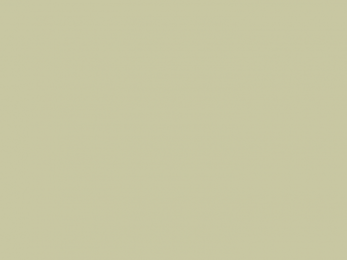 Paint & Paper Library Pure Flat Emulsion - Willow V 535