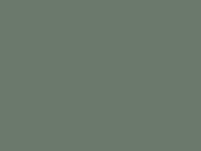 Paint & Paper Library Pure Flat Emulsion - Fynbos 547