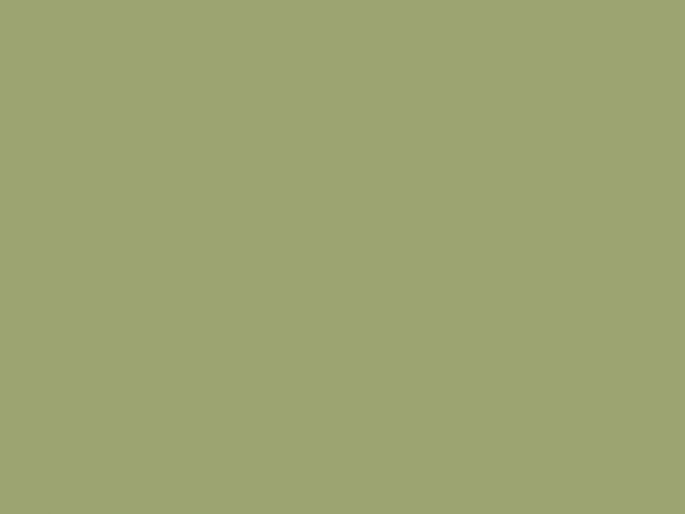 Paint & Paper Library Pure Flat Emulsion - Chelsea Green II 549