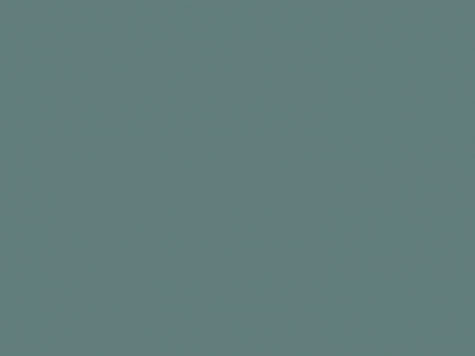 Paint & Paper Library Architects' Matt - Iguana 551