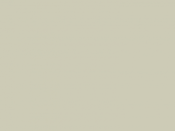 Paint & Paper Library Architects' Matt - Wattle IV 564