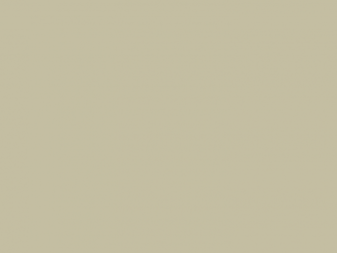 Paint & Paper Library Pure Flat Emulsion - Wattle V 565