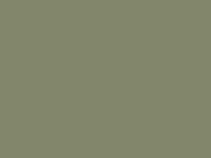 Paint & Paper Library Pure Flat Emulsion - Sencha 569