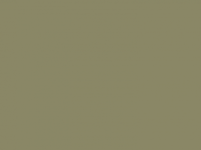 Paint & Paper Library Pure Flat Emulsion - The Botanist 574