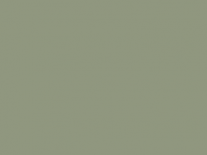 Paint & Paper Library Architects' Eggshell - Greenback 579