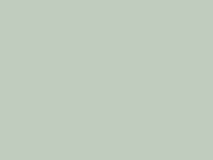 Paint & Paper Library Pure Flat Emulsion - Glass IV 584