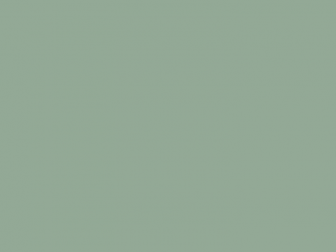 Paint & Paper Library Pure Flat Emulsion - Salvia 596