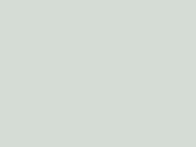 Paint & Paper Library Pure Flat Emulsion - Steel III 603