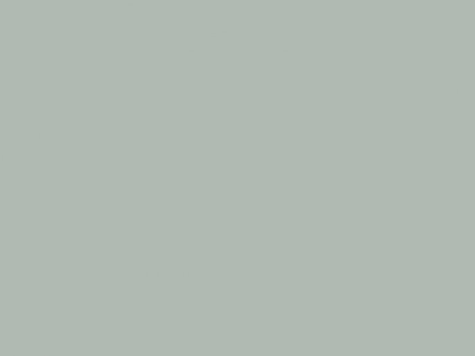Paint & Paper Library Pure Flat Emulsion - Steel V 605