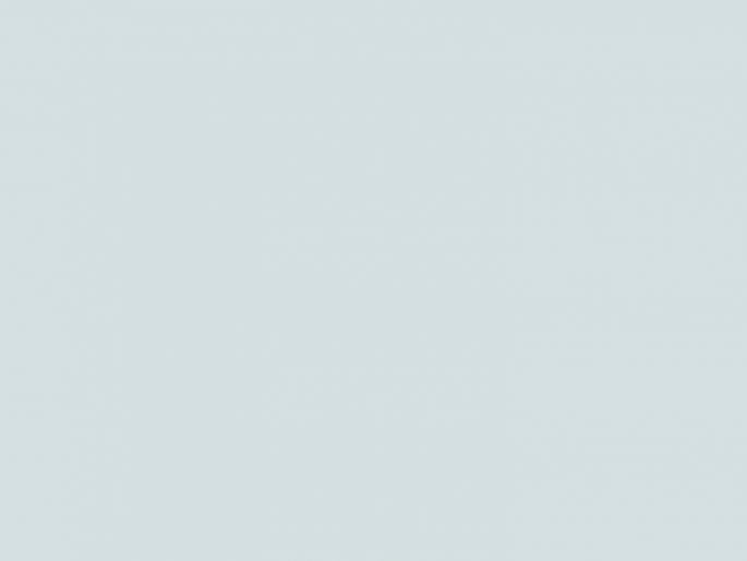 Paint & Paper Library Pure Flat Emulsion - Porcelain III 663