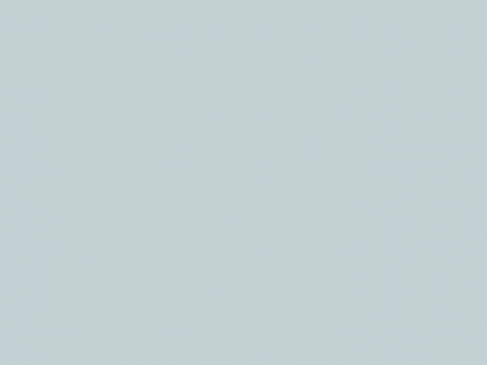 Paint & Paper Library Pure Flat Emulsion - Porcelain IV 664