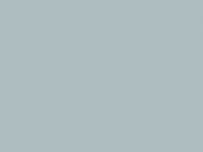 Paint & Paper Library Pure Flat Emulsion - Porcelain V 665