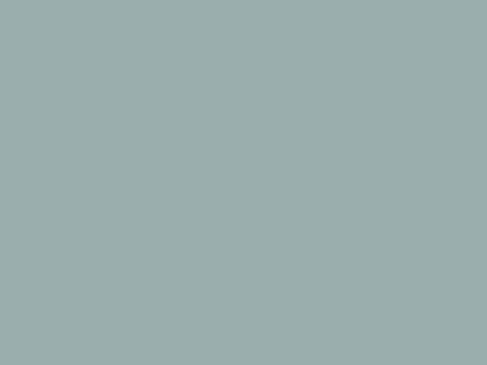 Paint & Paper Library Pure Flat Emulsion - Spruce 690
