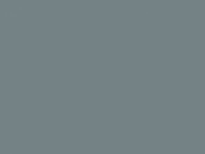 Paint & Paper Library Pure Flat Emulsion - BTWN Dog & Wolf 693