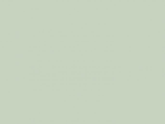 Paint & Paper Library Architects' Satinwood - Sprig IV 704