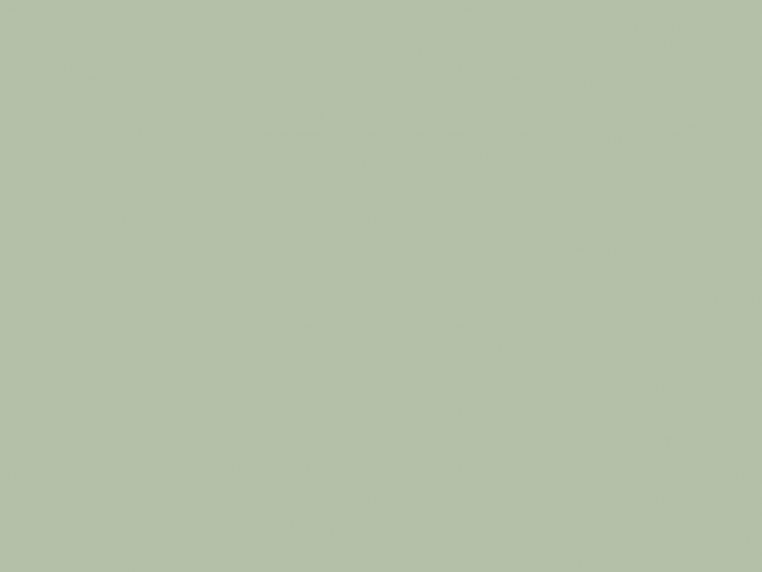 Paint & Paper Library Pure Flat Emulsion - Sprig V 705