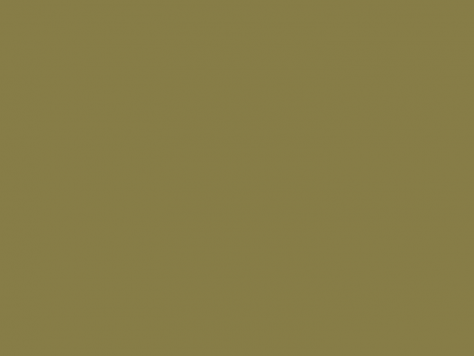 Paint & Paper Library Pure Flat Emulsion - Midelt Sage 711