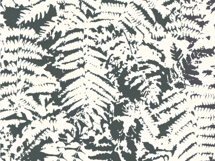 Behang van Little Greene met witte bladeren op een zwarte achtergrond Fern - Off Black