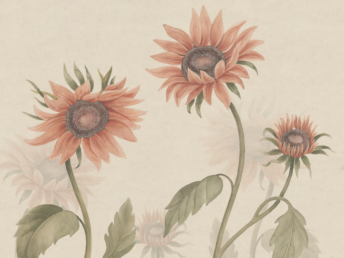 Sandberg Sunflowers - Peach
