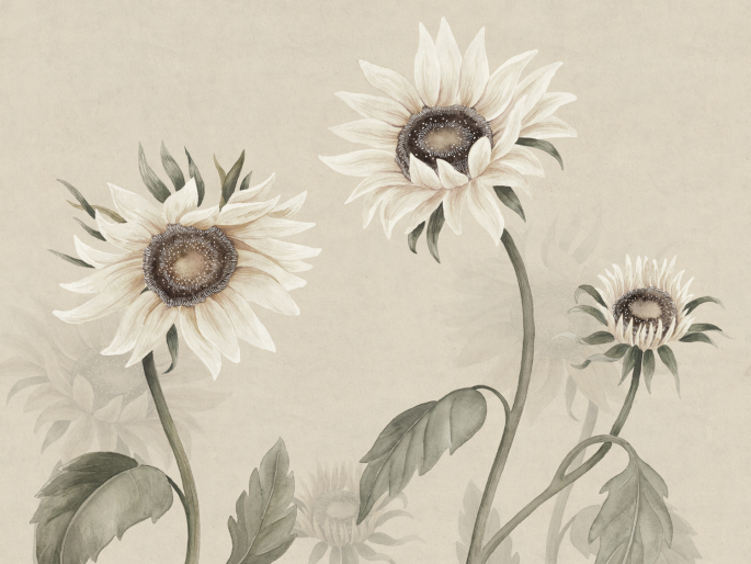 Sandberg Sunflowers - White