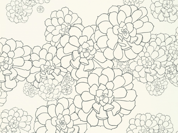 Paint & Paper Library Aeonium - Clean White