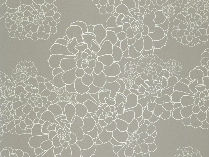 Paint & Paper Library Aeonium - Steel