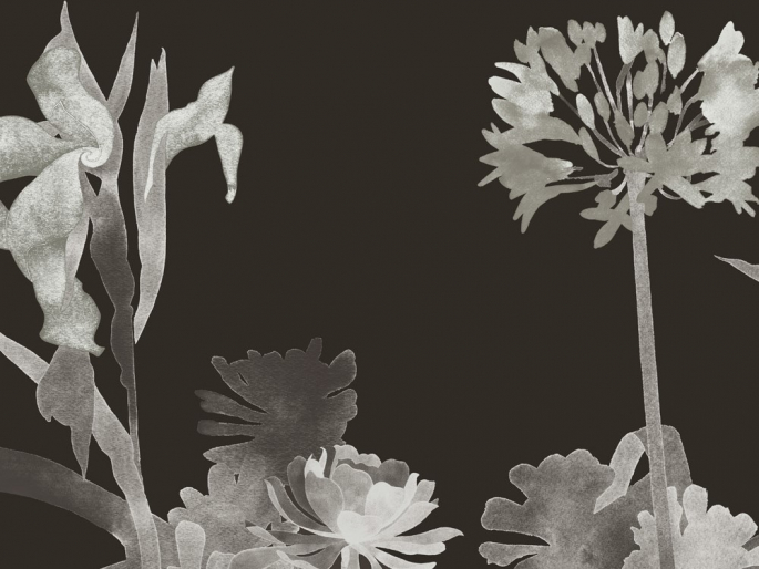 Paint & Paper Library Aloe Walk - Perse Grey