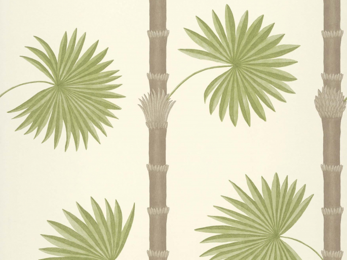 Paint & Paper Library Hardy Palm - Sand III