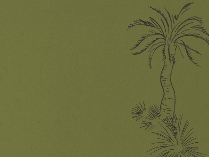 Paint & Paper Library Lighthouse Palm - Chelsea Green